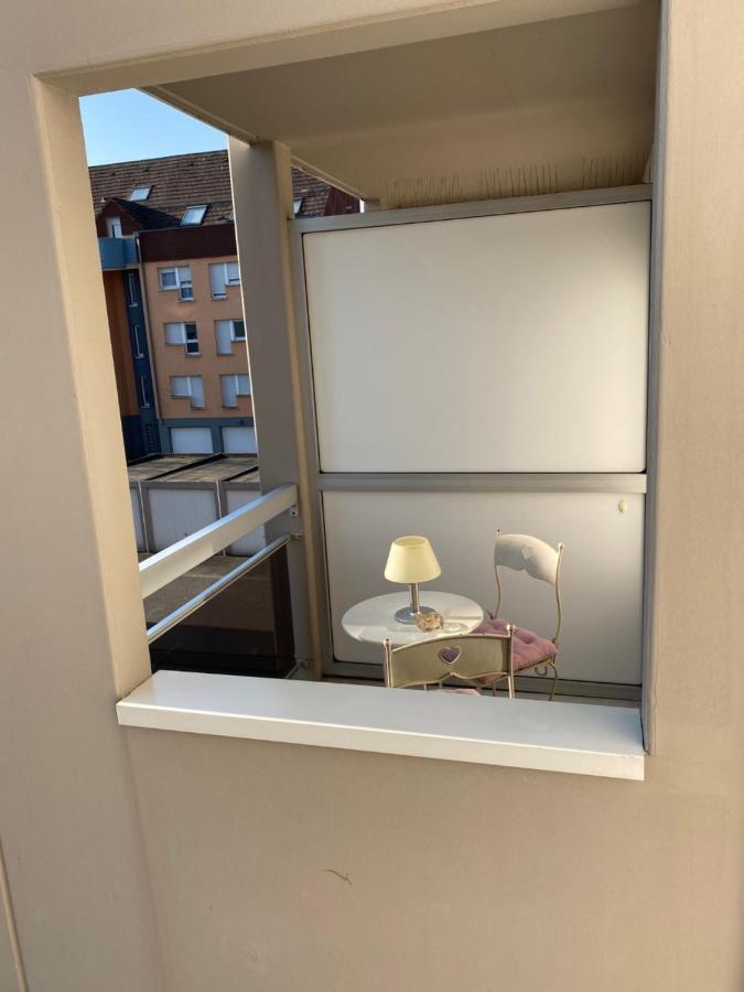 Charmant Studio A Haguenau, A 25Mn De Strasbourg 외부 사진